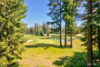 Imagine this being the view from your living room and kitchen. Facing South, you'll bask in sun all day long.