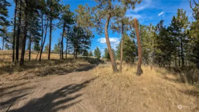 Driveway to property.