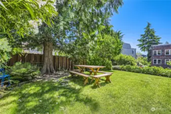 Outdoor picnic common area space