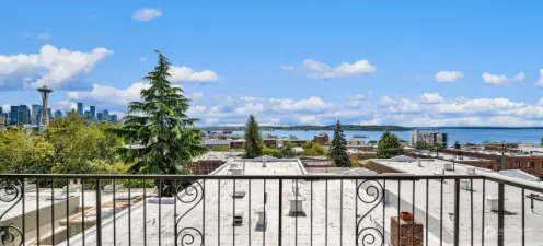 Panoramic view from the deck