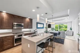 Living spaces feature 9' ceilings throughout with easy-care wide-plank floors.   Work space breakfast bar or buffet counter- your choice