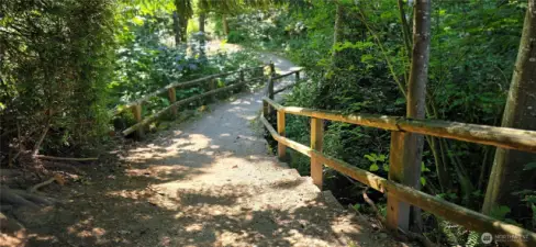 Trail System