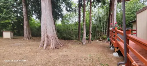 Park like setting