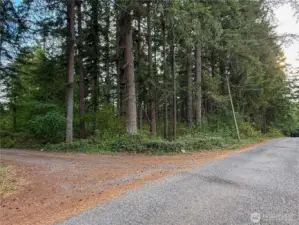 3.250 Acre beautiful, wooded lot, ready to build your Dream Home.