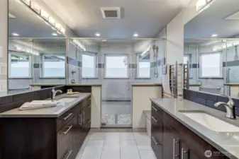 Recently remodeled Primary bath - all the features you've wanted!
