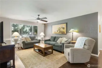Large living room, with picturesque window to back yard.
