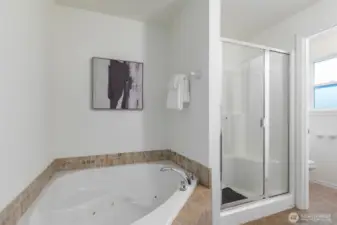 ...and a jetted tub and shower completes this spa-like bathroom.