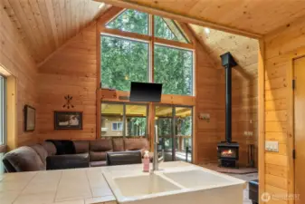 I love this farmhouse apron style sink!