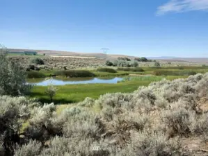 Total of 60 acres of lakes & ponds!   Fabulous fishing.   Great duck hunting.   Golf course architecture, design & drawings completed.