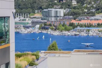 Here's the view of the lake from the DR deck!