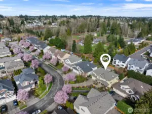 That's us...in an exclusive neighborhood near Martha Lake