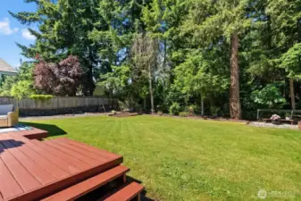 looking from patio into back yard