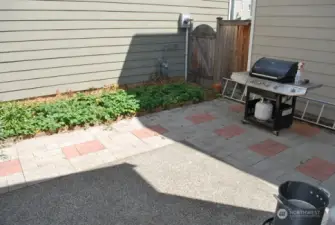 Back yard