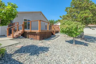 Backyard with low maintance landscaping