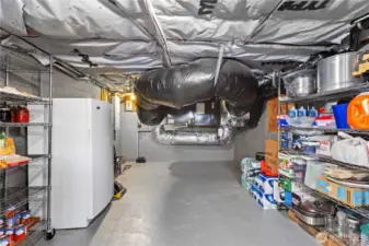 Indoor Storage in basement