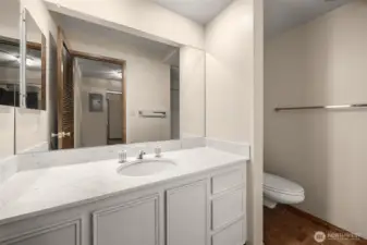 Guest 3/4 bath.