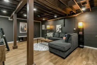 Media room is perfect for watching movies.