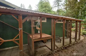 Catio that is screened and lots of room to play