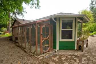 Entrance into Catio