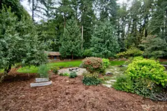 View of backyard