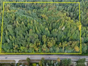Heavily Treed acreage - currently in Forestry Designation  Property Lines are not accurate