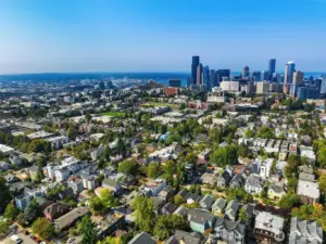 From your rooftop to the water’s edge—Seattle’s best landscapes in a single view.