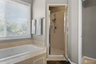 Primary bath with separate walk-in shower