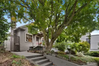 Shaded by a beautiful maple, enter above the street.