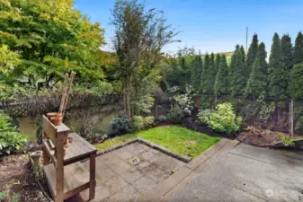 Backyard with patios and many mature plantings (currently winterized) such as roses, honeysuckle, bamboo.