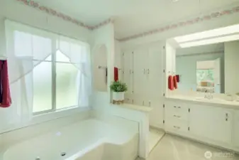Primary bath tub