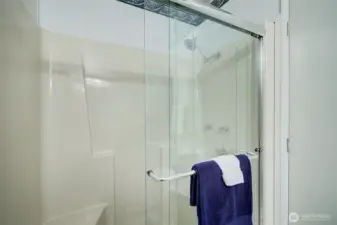 Guest walk in shower