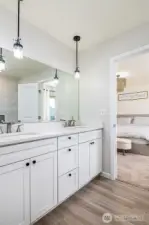 Primary bathroom