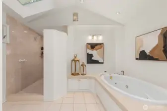 Large, open walk-in shower and large soaking tub.