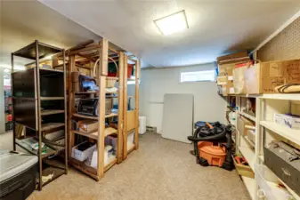 Basement Storage