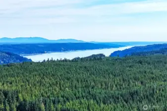 Drone view of golf course and Hood Canal
