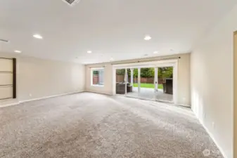 Basement living area