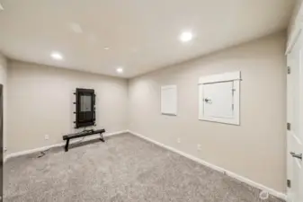 Theater/multi purpose room, with under the stairs storage room