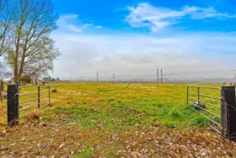 Irrigated through SVID