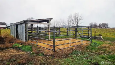 Set-up and ready for cattle.