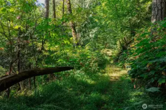 Access trail/road to top of property via easement