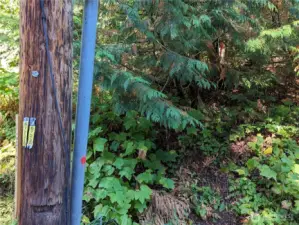 SouthWest-ish corner - as seen from highway.