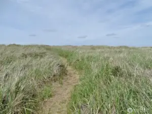 View of the path to the Beach from the back of the building (taken in 2022).