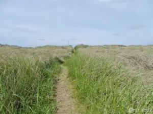 View of the path to the Beach (taken in 2022).
