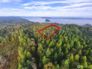 Overhead view with approximate boundaries in red. McMicken Island in the background.