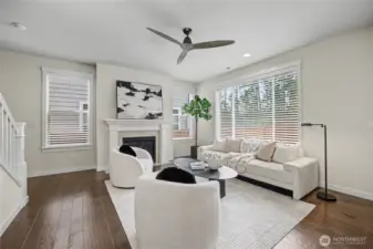Living Room Full of Natural Light