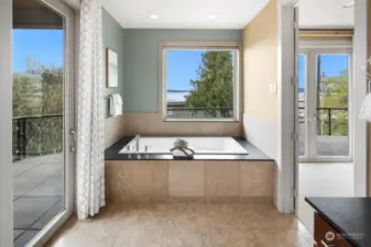 A generously sized soaking tub with western exposure makes for such a pleasant bathing experience!