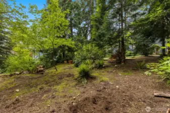 Back view of the backyard, which is RARE at nearly 1/3 acre!