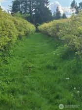 RV is at the end of the main path dividing farm, by lakefront.