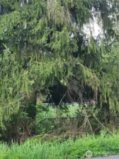 Beautiful properties surround the farm!  This is across the street.