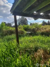 in the distance a frame of a previous shed that was covered with a canopy. Redo again?  Make a storage area or a greenhouse...or other vision?